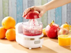 Rosenstein & Söhne Gemüsereibe:3in1 Dessert-Maker, Gemüse-Reibe & Saftpresse, 150 Watt 23 Rosenstein & Söhne Gemüsereibe:3in1 Dessert-Maker, Gemüse-Reibe & Saftpresse, 150 Watt -Rosenstein & Söhne Shop nx3893 6