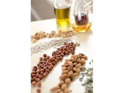 Sichler Ölpresse Für Zuhause:Elektrische Ölpresse EHP-350 Zum Selbermachen Von Nuss- Und Samen-Ölen 11 Sichler Ölpresse Für Zuhause:Elektrische Ölpresse EHP-350 Zum Selbermachen Von Nuss- Und Samen-Ölen -Rosenstein & Söhne Shop nx7422 4