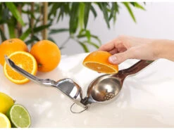 Rosenstein & Söhne Manuelle Zitruspresse:Manuelle Zitrus- Und Saftpresse Aus Poliertem Edelstahl 304, Ø 7 Cm -Rosenstein & Söhne Shop zx6307 6 1